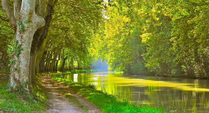 3 canal du midi bicimap