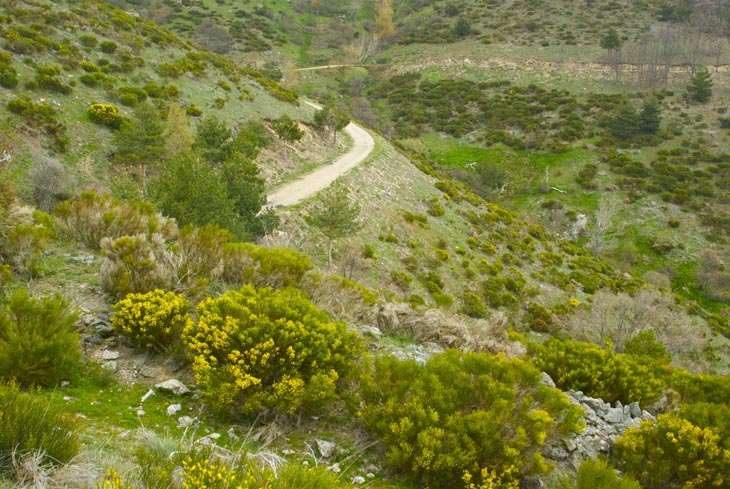 2 primavera madrid