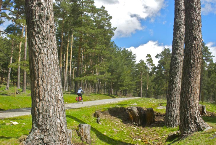 4 primavera madrid