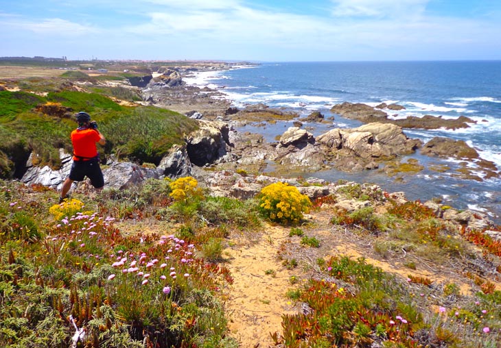 1 costa vicentina flores