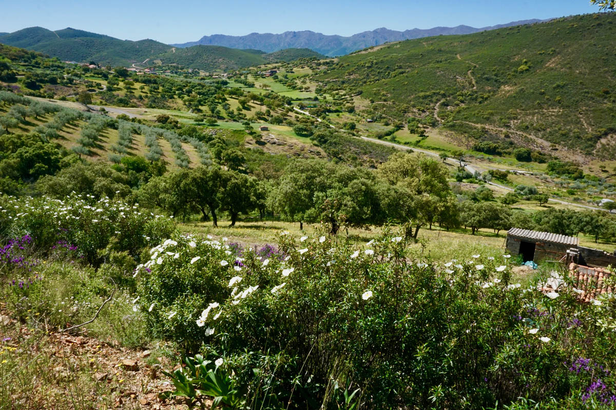 1 camino de guadalupe bicimap