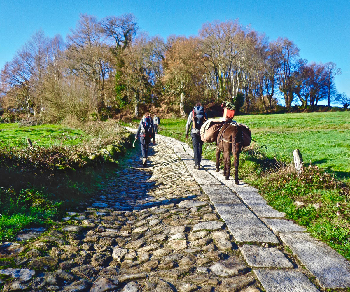 12 camino de santiago 5 bicimap