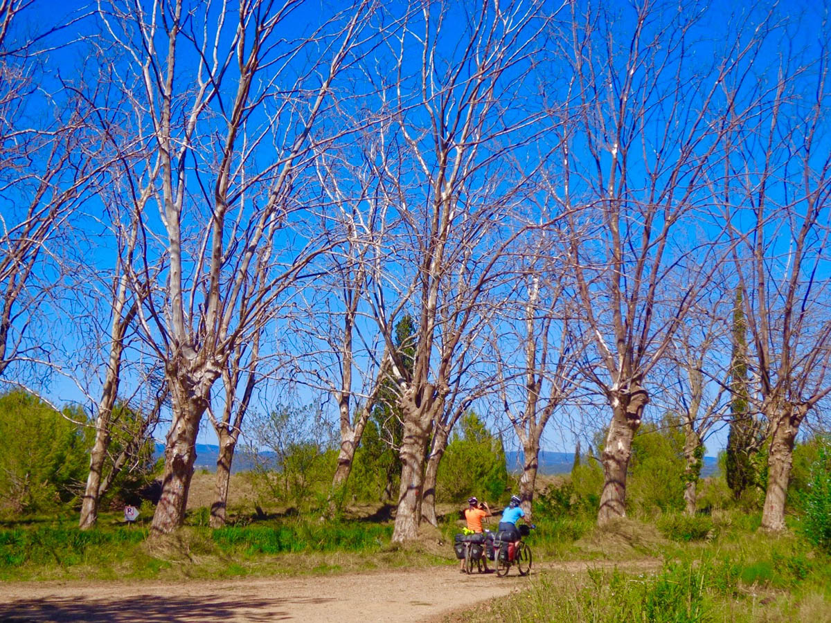 1 canal du midi bicimap