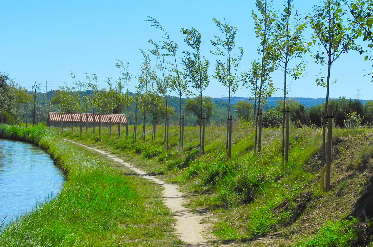 3 canal du midi bicimap