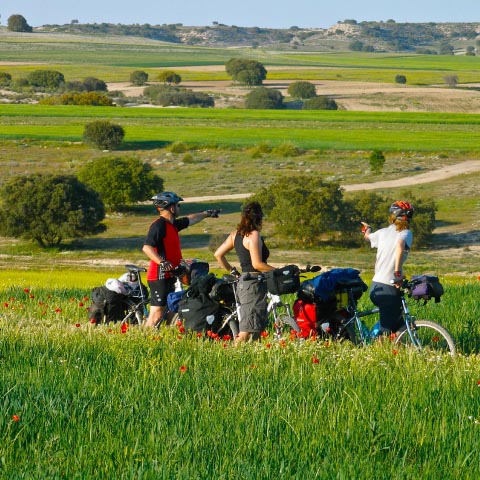 bicis espanya