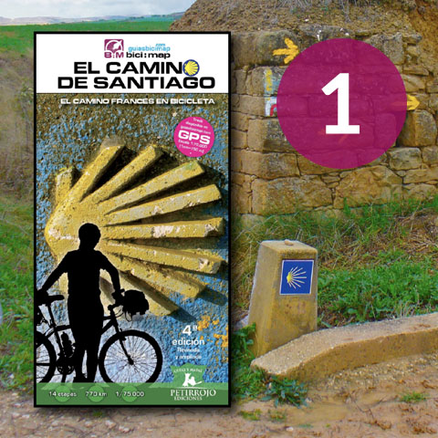 El Camino de Santiago