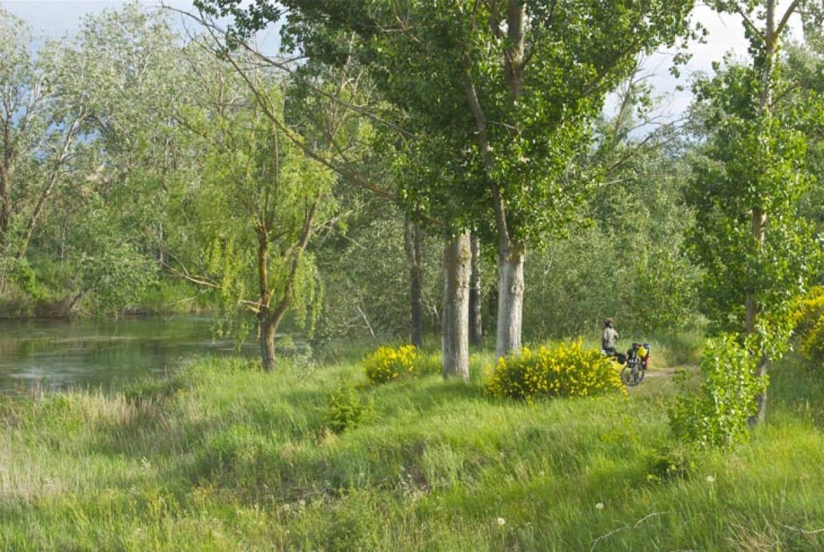 5 rutas en bici de bosques sonoros