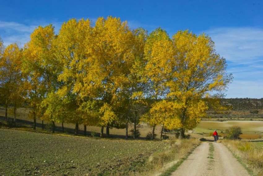 Otoño, 5 rutas en bicicleta