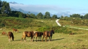 El Camino de los paisajes