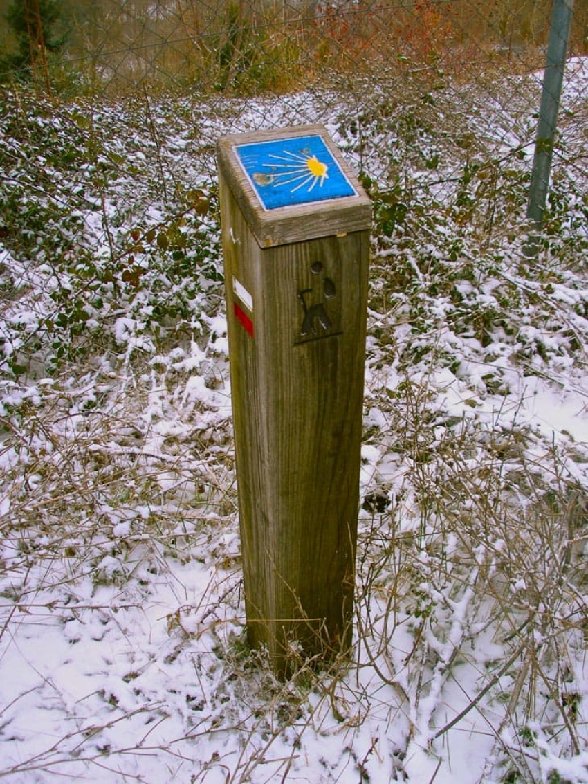 Fin de año: Camino de Santiago en bici