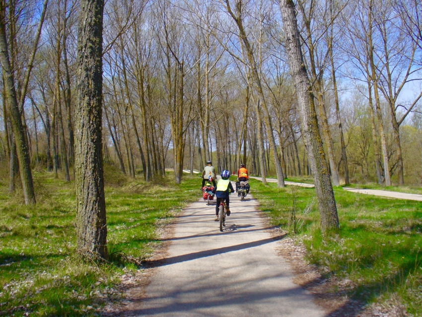 Camino de Santiago: 3 opciones para entrar en Burgos